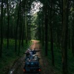 Menagesha Suba Forest Day Trip