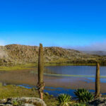 6 Days Bale Mountain National Park Trekking