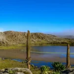 6 Days Bale Mountain National Park Trekking