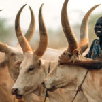 3 Days South Sudan Tribes Tours