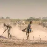 4-Day Juba & Mundari Cultural Expedition
