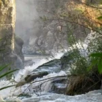 Day Trip Tour to Awash National Park