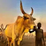 2-Day Juba & Mundari Cultural Expedition